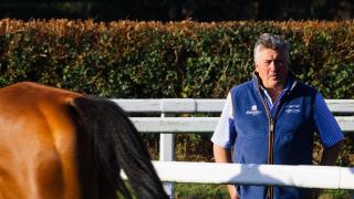 Betfair Ambassador Paul Nicholls